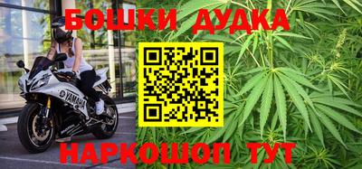 стаф Ставрополь