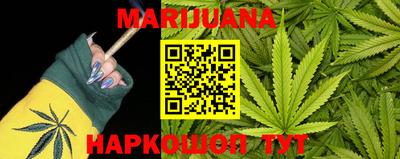 стаф Ставрополь