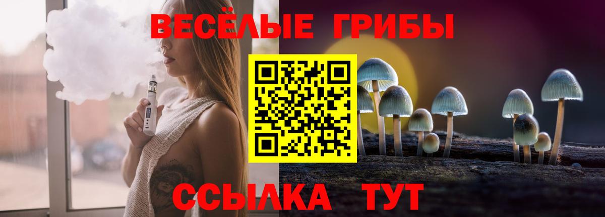 купить  цена  Вход с VPN  Аксай  Псилоцибиновые грибы мицелий 